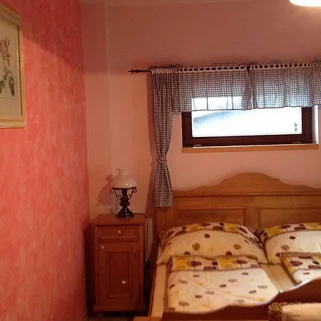 Celnica Maison d'hôtes Velké Karlovice